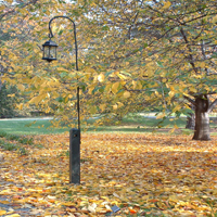Photo of lantern in foliage setting at New York Botanical Garden